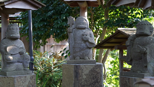 常泉寺(花寺・大和)11