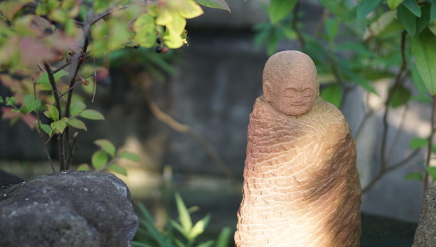 常泉寺(花寺・大和)26