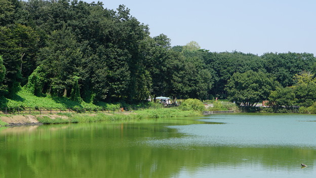 国営武蔵丘陵森林公園3