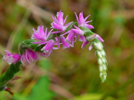 P1100085