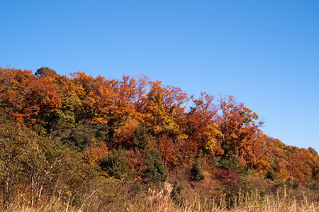 PICT0029