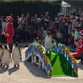 20171223 長崎ペンギン水族館28