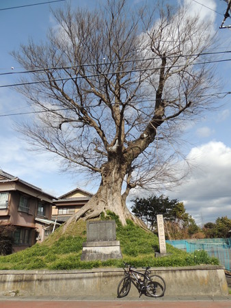 野村一里塚。