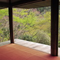 高山寺・石水院（南縁より）1