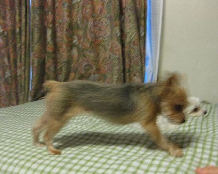 のび~~~~~!