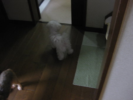 だれかいるんですか~?