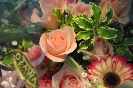 お見舞いのお花