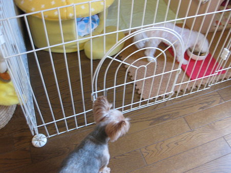 時間かかりますね~