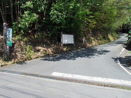 智者山への分岐