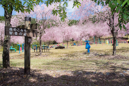 智者の丘公園 音の広場