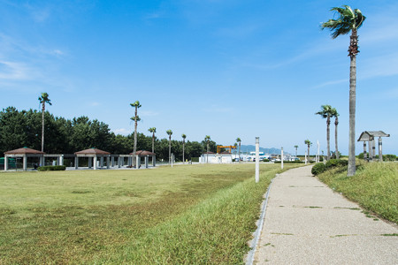 広野海岸公園 芝生広場