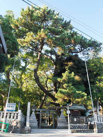 宗像神社