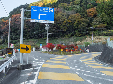 関の沢への分岐