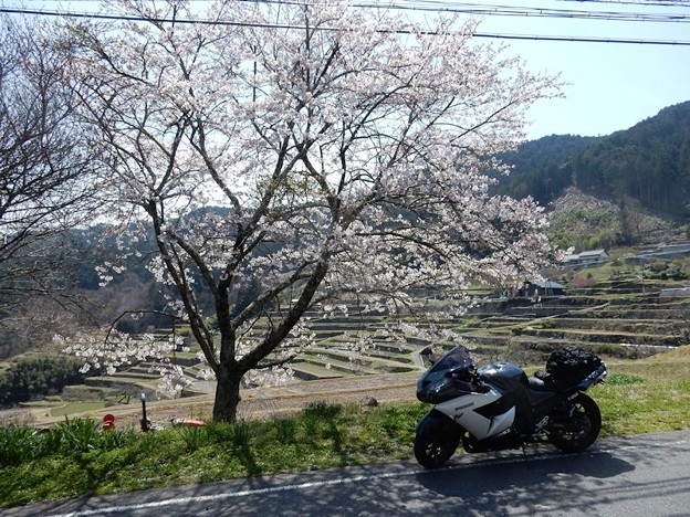 DSCN1863 坂折の棚田にて 写真: DSCN1863 坂折の棚田にて