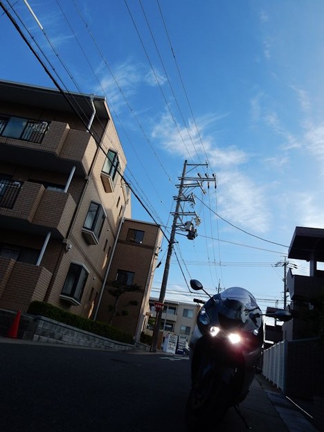 2017.7.22 裏ビーナスツー (1) 写真: 2017.7.22 裏ビーナスツー (1)