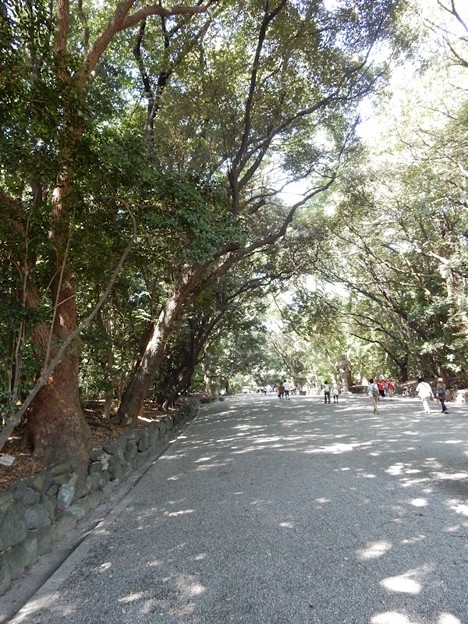 4 味がある参道 写真: 4 味がある参道