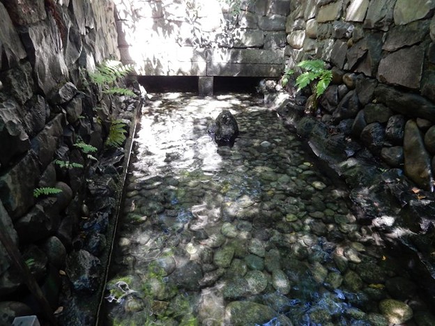 8 お清水 写真: 8 お清水