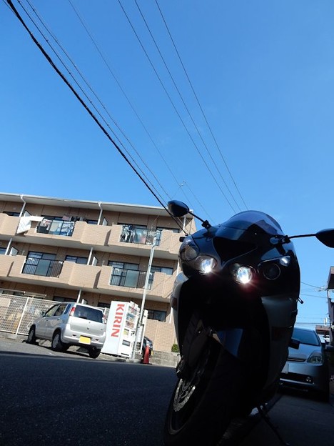 1お買い物に行こう 写真: 1お買い物に行こう