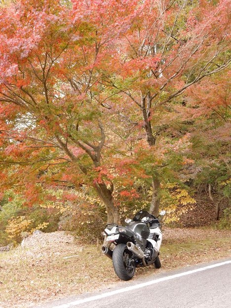 7 ZZRと 写真: 7 ZZRと