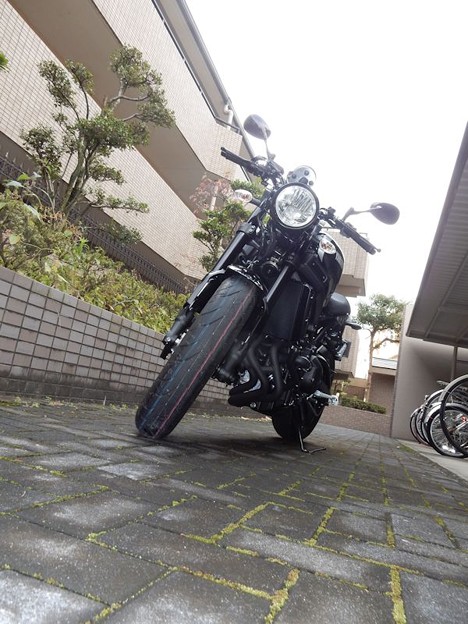 XSR900 (2) 写真: XSR900 (2)