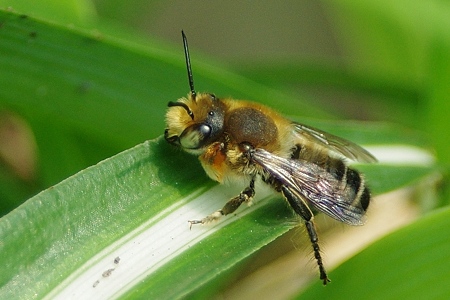 ZZZZ5812