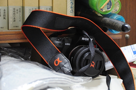 TAMRON : AF 28-80mm F/3.5-5.6 Aspherical (ニコン用) で撮影
