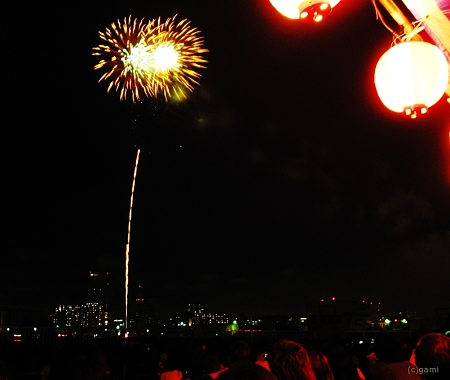 夏の夜に咲くひまわり^^