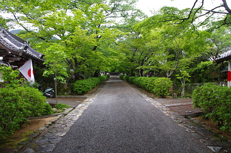 西教寺参道