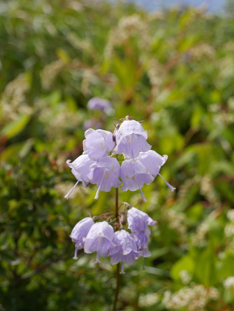 P1000638