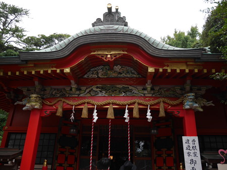1_P1000733