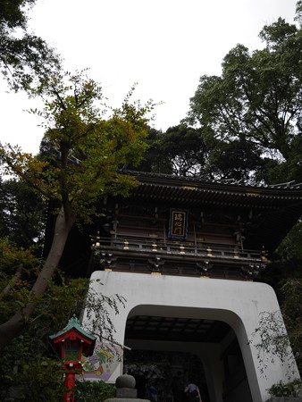 1_P1000734