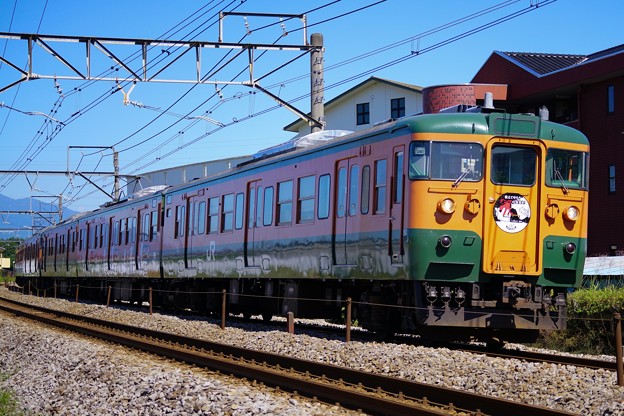 115系湘南色「お前はまだグンマを知らない」ラッピング車