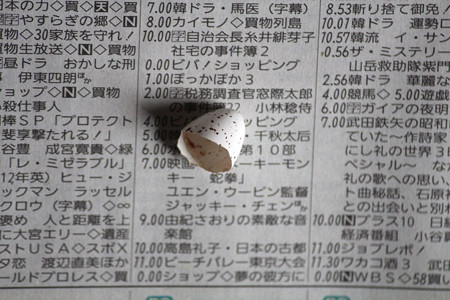 プレゼント