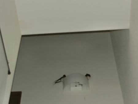 パパママの寝場所