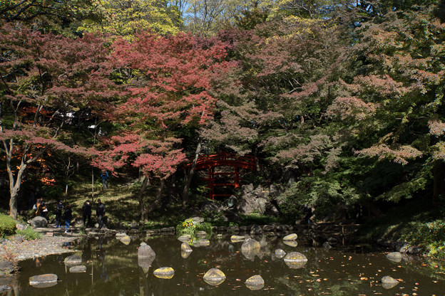 【小石川後楽園の紅葉】2