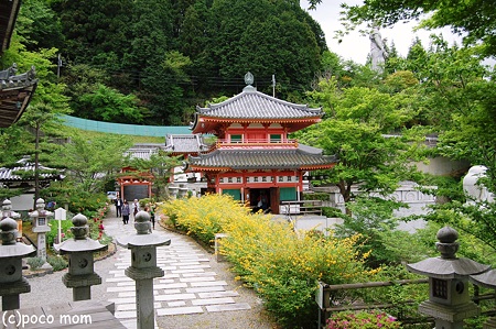 壷阪寺慈眼堂 2012年05月04日_DSC_2357
