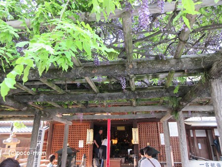 興福寺 IMG_0525