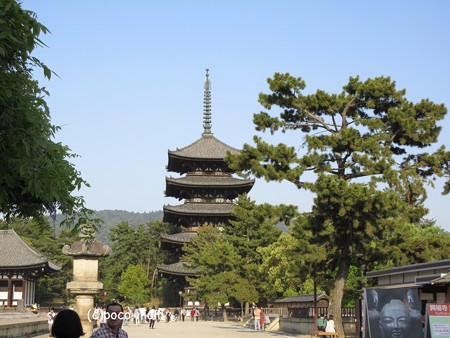 興福寺 IMG_0534