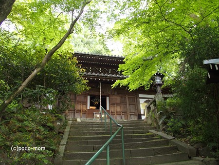 長楽寺 P5010459