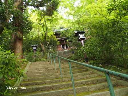 長楽寺 P5010460
