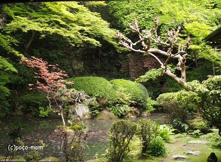 長楽寺 P5010467
