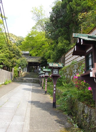 長楽寺 P5010469