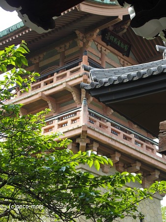 大雲院 祇園閣 P5010480