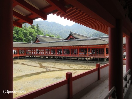 厳島神社 IMG_0988
