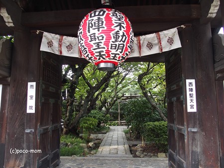 雨宝院 西陣聖天 P9231052