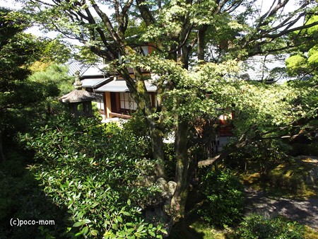 大雲院祇園閣 P9241261