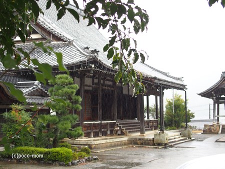 蓮通寺 PA220018