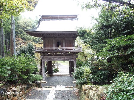 正応寺 長浜 PA220121