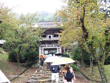 正応寺 長浜 PA220130