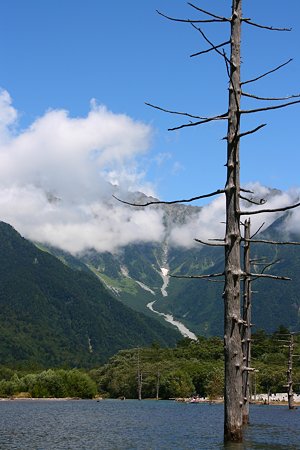 IMG_2671